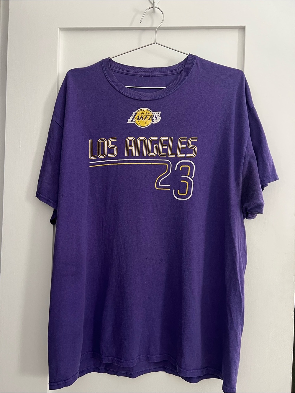 Los Angeles Lakers Purple Graphic Tee - Team Logo